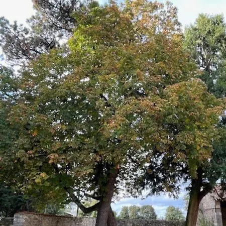 Prázdninový dům Du Grand Bourneau *